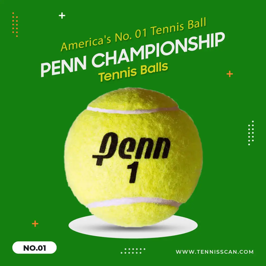 Penn Championship Tennis Balls