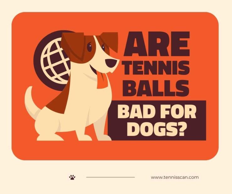 Are Tennis Balls Bad For Dogs