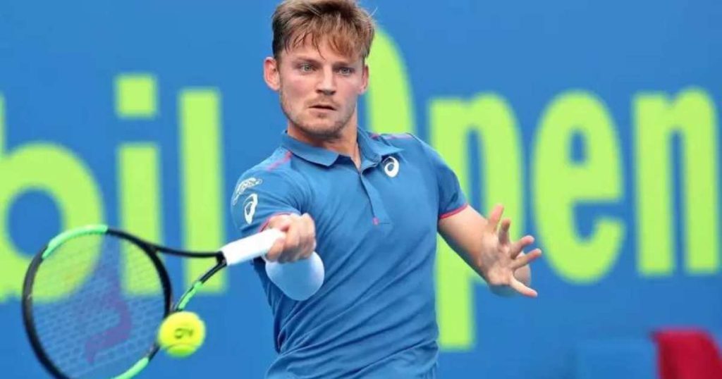 David Goffin’s Net Worth 